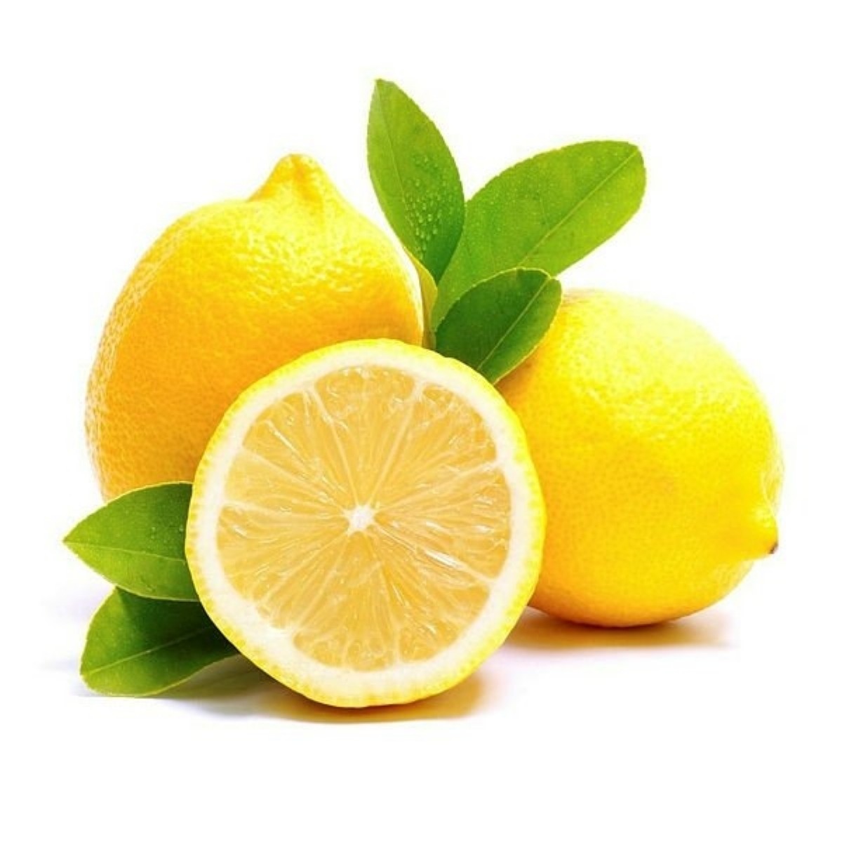 Citrus Fruits | LEMON | 99-LEMON-1 |  | 