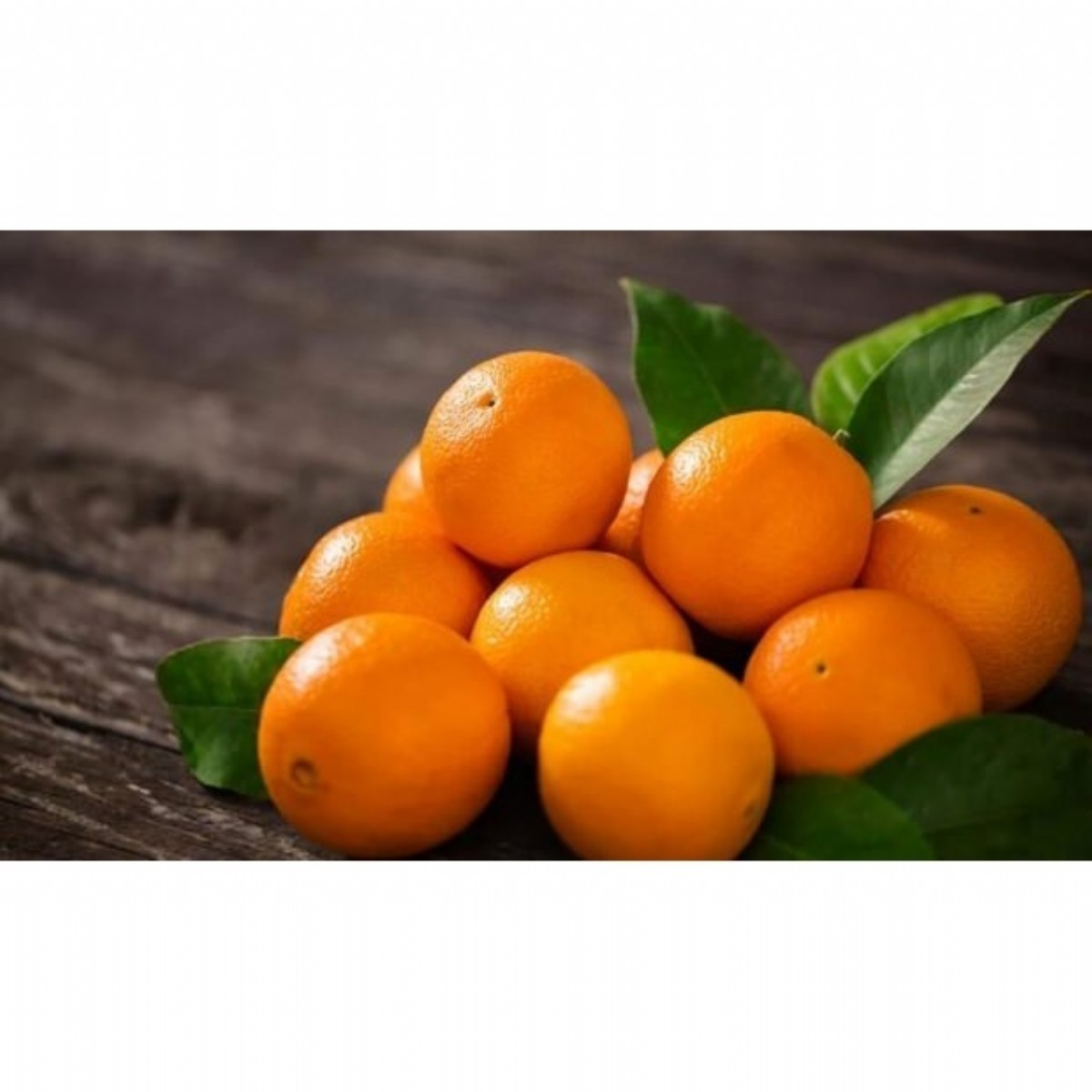 Citrus Fruits | ORANGE | 99-ORANGE-2 |  | 