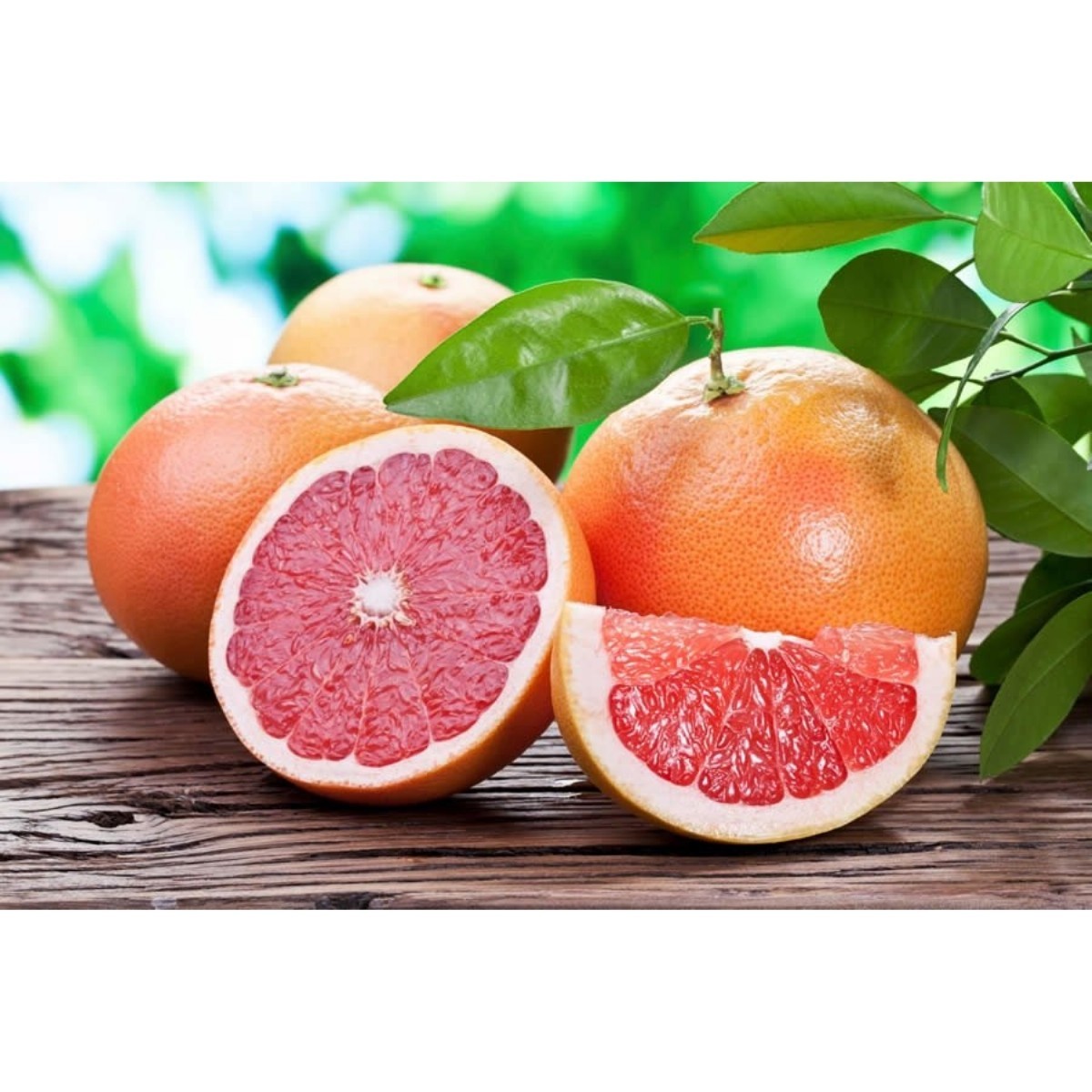 Citrus Fruits | GRAPEFRUIT | 99-GRAPEFRUTT-1 |  | 
